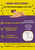 Cerchi un dogsitter di fiducia a Torino?