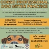 CORSO PROFESSIONAL DOG SITTER PRACTICE