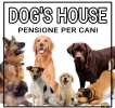PENSIONE PER CANI DOG'S HOUSE CARINI
