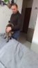 Pet Sitter