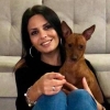 pet sitting