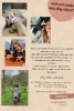 Servizio Pet-Sitter☺️?