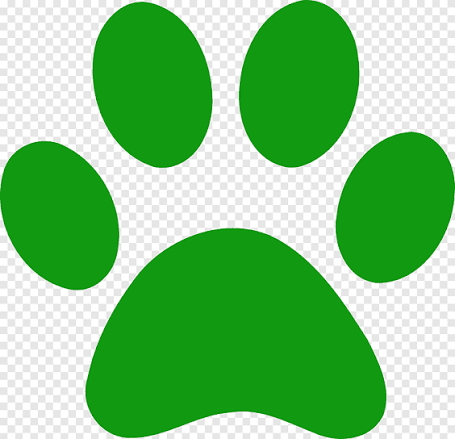 Annunci Dog Sitter